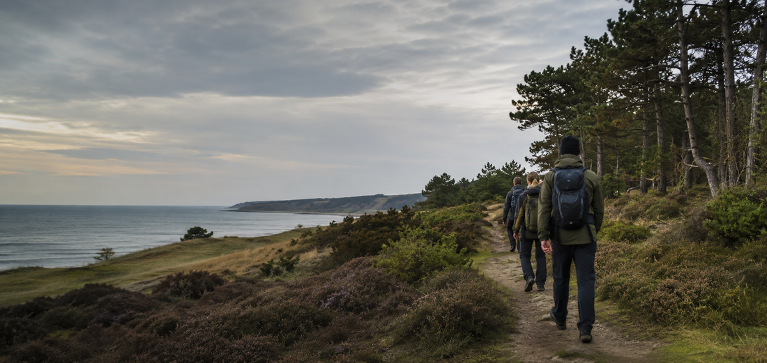Nationalparker i Danmark du kan vandre i – guide til Danmarks nationalparker